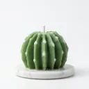 Round Cactus Candle