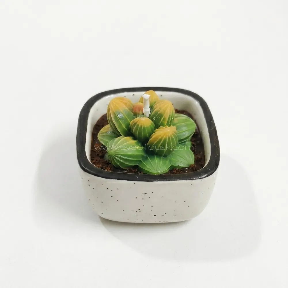 Mini Cactus Pot Candle