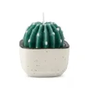 Round Cactus Pot Candle
